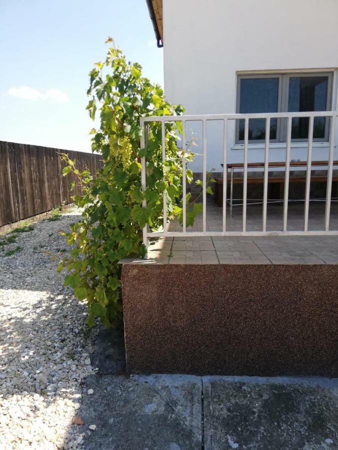 Vila Ekooos Μπρασόβ Εξωτερικό φωτογραφία