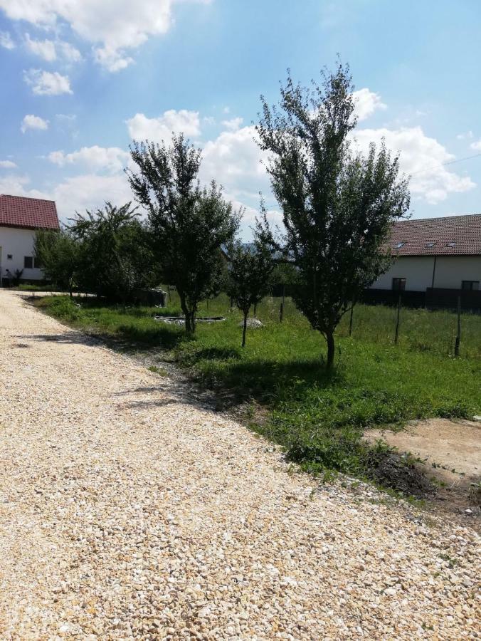 Vila Ekooos Μπρασόβ Εξωτερικό φωτογραφία
