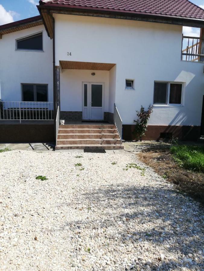 Vila Ekooos Μπρασόβ Εξωτερικό φωτογραφία